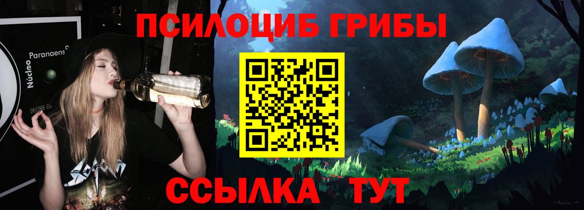 Псилоцибиновые грибы прущие грибы Севастополь